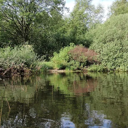 Secluded Oasis By Kvie Lake-by Traum