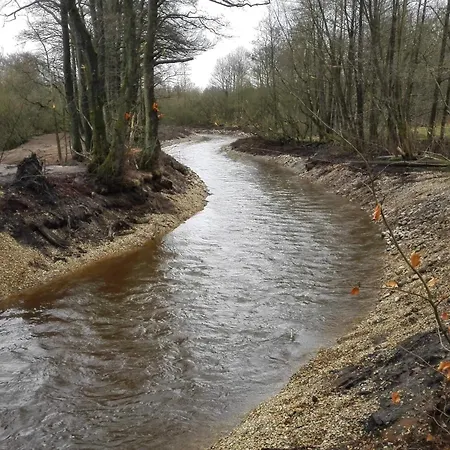 Secluded Oasis By Kvie Lake-by Traum * Ansager