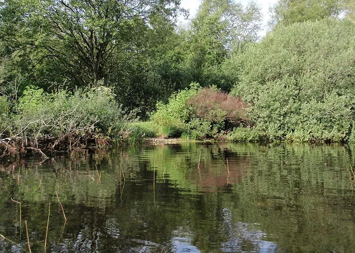 Secluded Oasis By Kvie Lake-by Traum