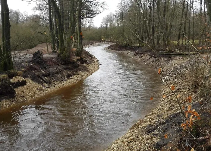 Secluded Oasis By Kvie Lake-by Traum * Ansager